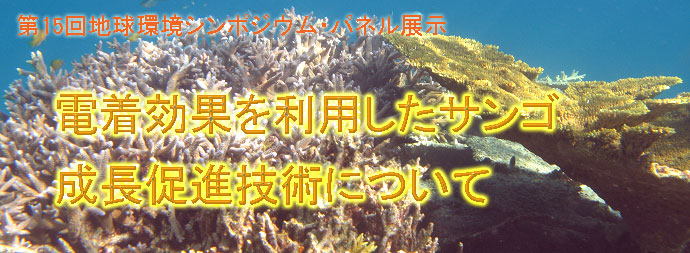 サンゴ再生への取り組み〜浮桟橋へのサンゴ移植の研究〜