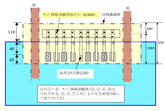 サンゴ取付方法